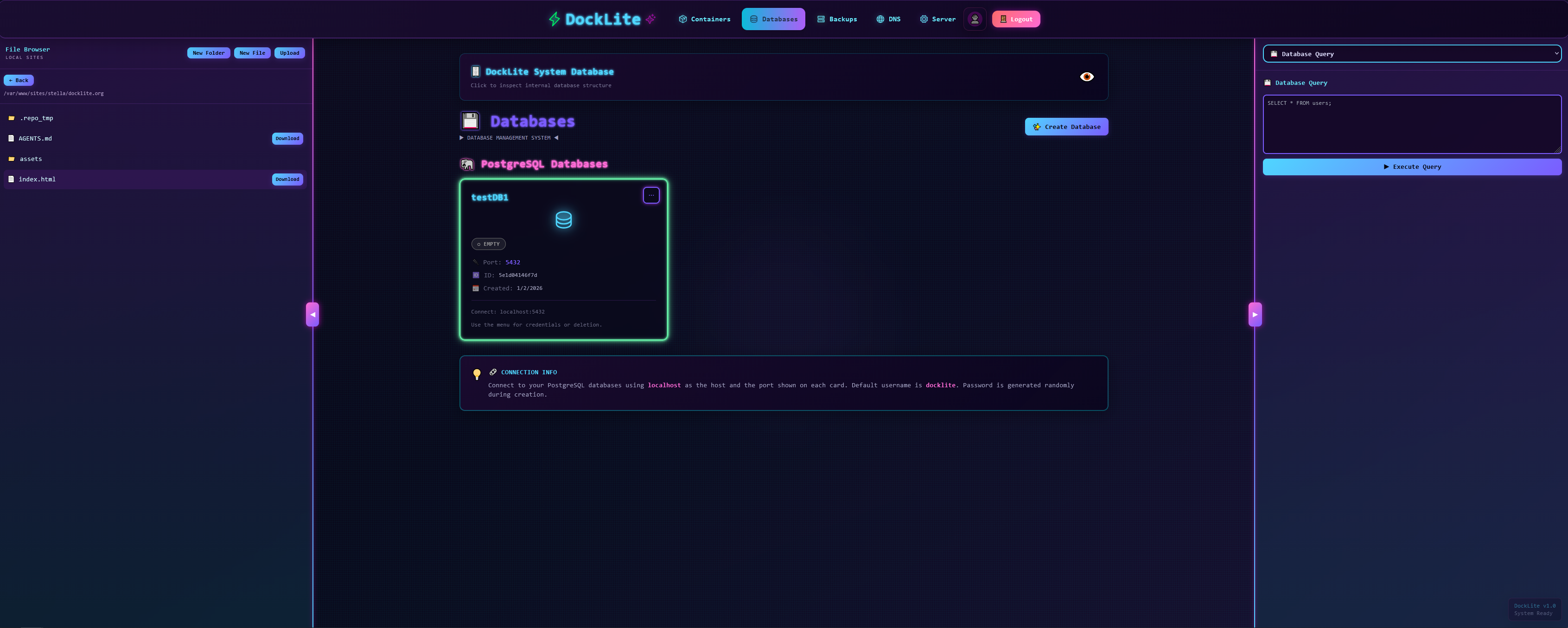 DockLite database view